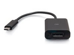 USB-C to DisplayPort Adapter Converter
