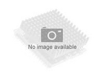 Intel Xeon E5-2620 / 2 GHz processor