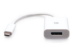 USB-C to DisplayPort Adapter Converter